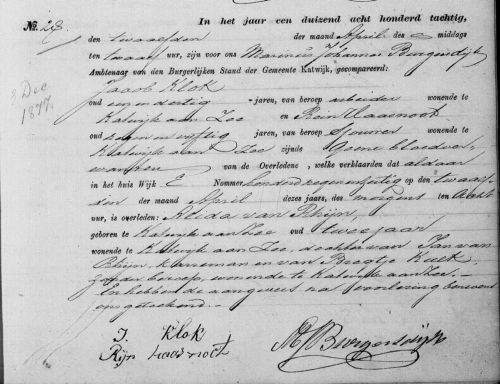 ov alida 1877