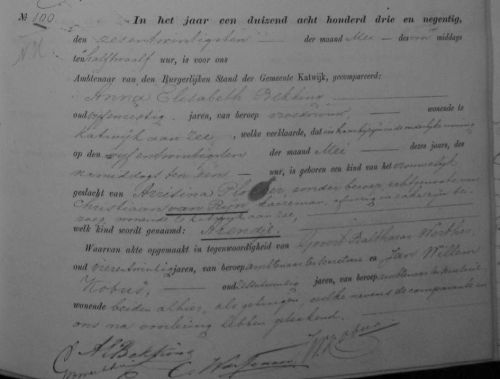 geb arendje 1893