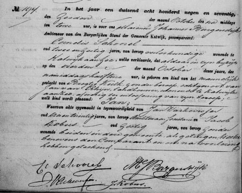 geb jan 1879
