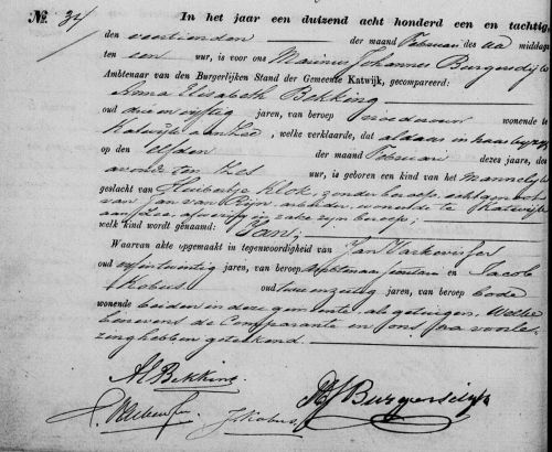 geb jan1881