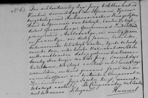 ov japik 1812