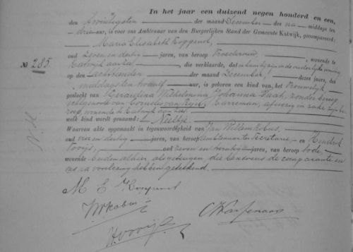 geb neeltje 1901a